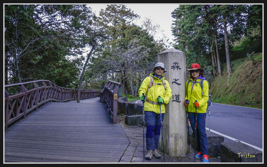 _MG_0005.jpg - 20161226 大塔山