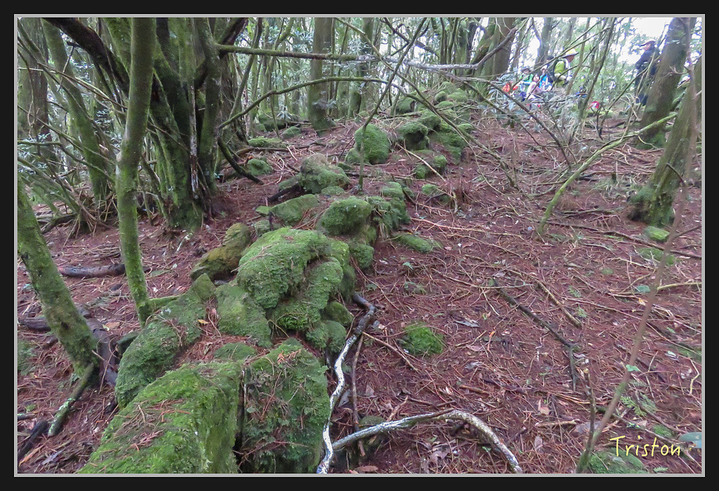 IMG_1438.jpg - 20170318 守關山、守城大山