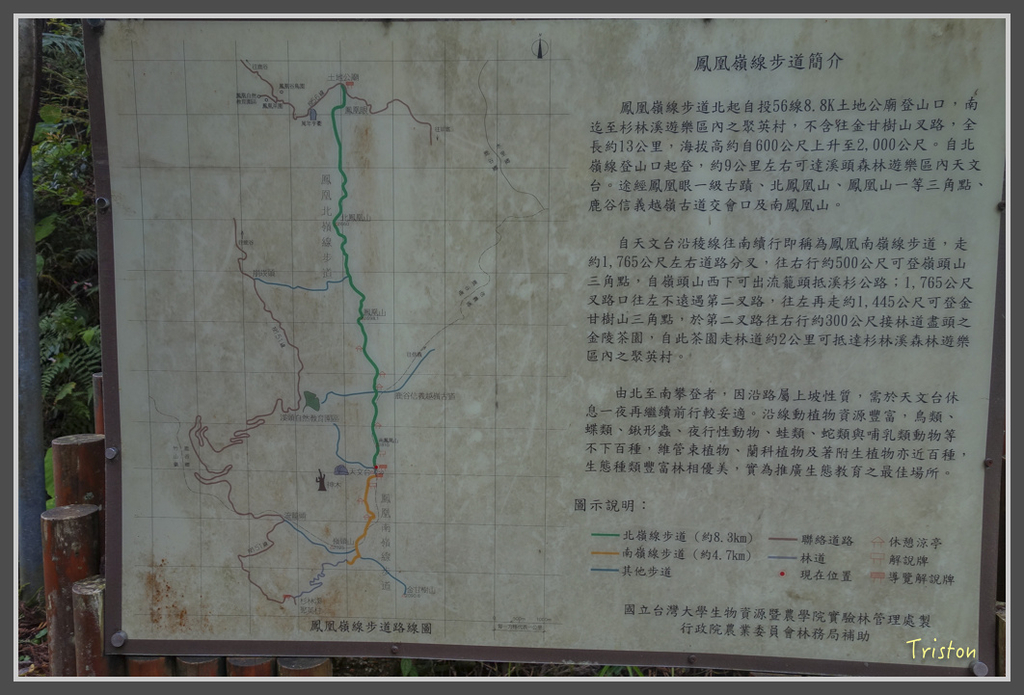 DSC00818.jpg - 20160924 溪頭台寅山