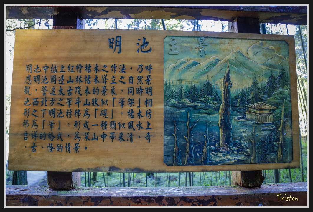 00207.jpg - 20161231 明池 神木園