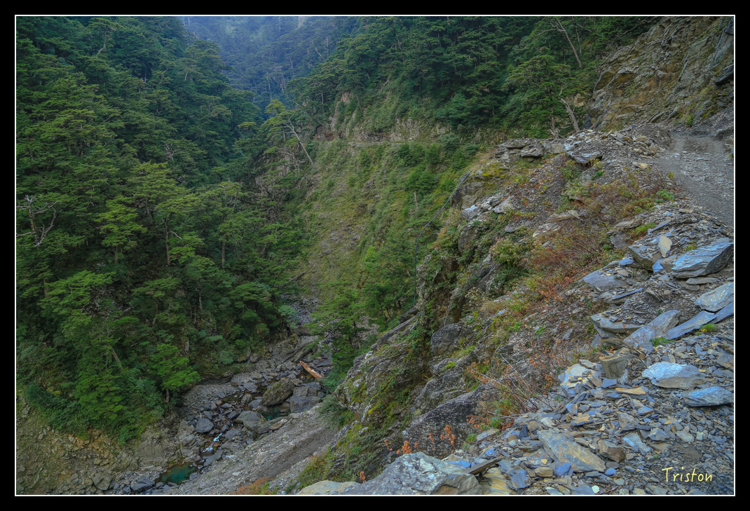 JH1A0762.jpg - 20151205 合歡溪步道、108K楓之谷