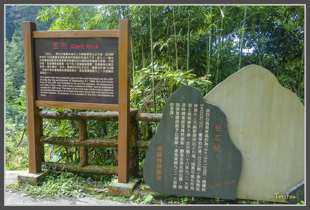 DSC00823.jpg - 20160924 溪頭台寅山