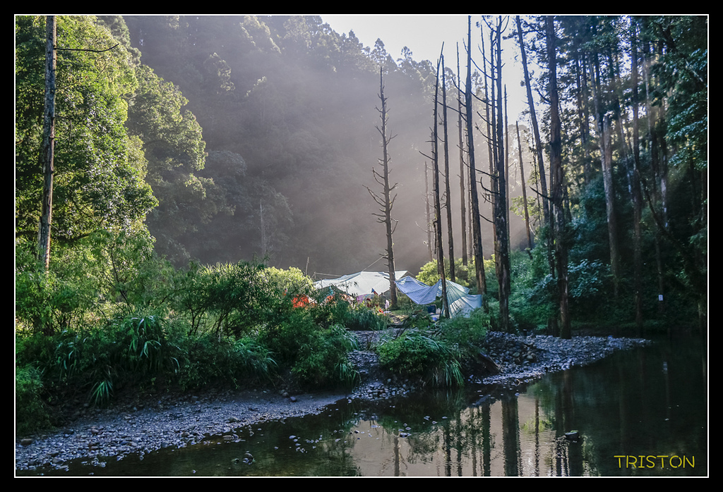 _MG_0271.jpg - 20170723 水漾森林