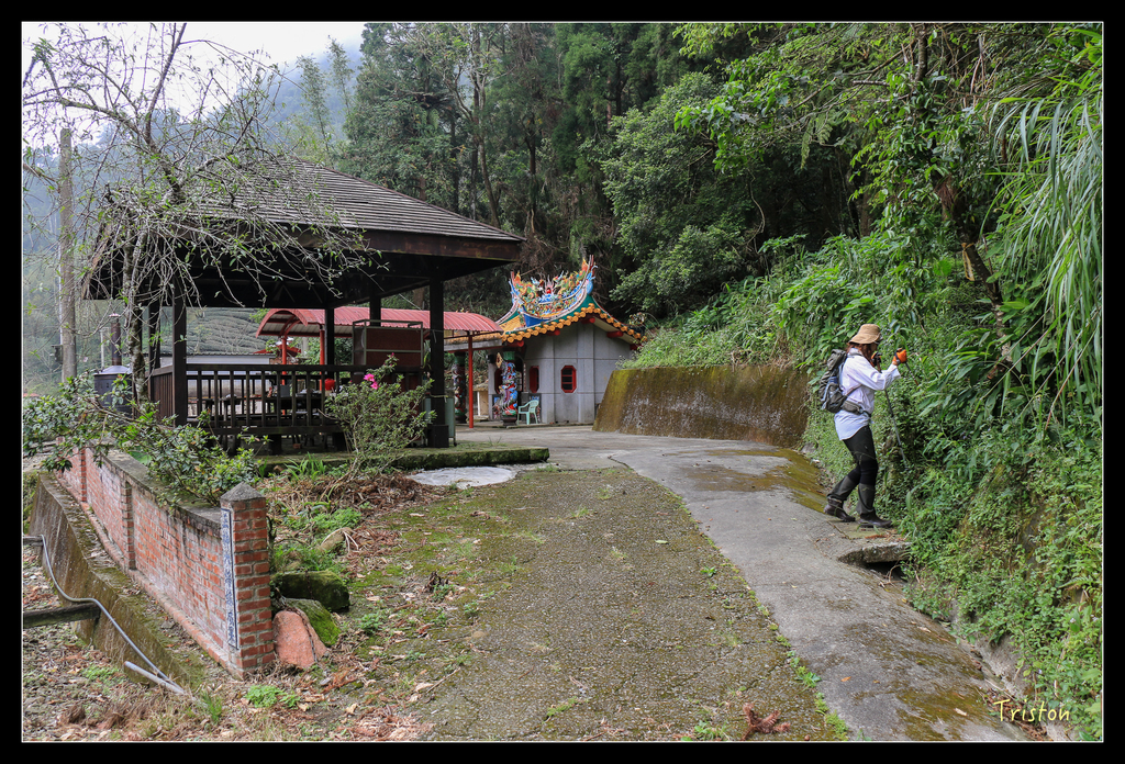 IMG_8394.jpg - 20151012 水社寮,四天王山