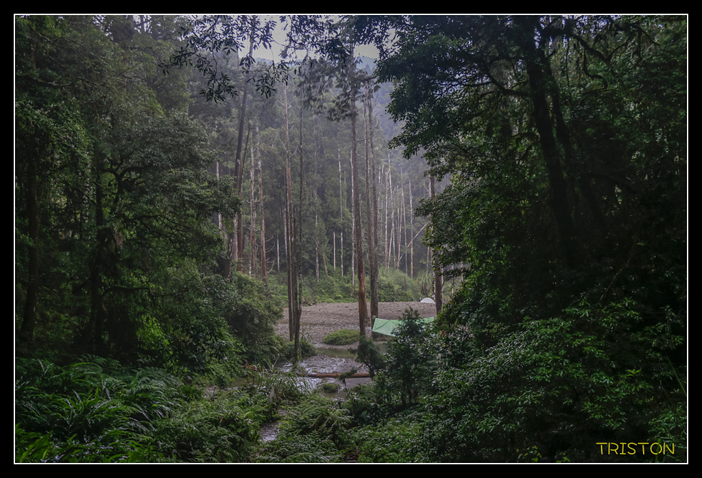 _MG_0142.jpg - 20170723 水漾森林