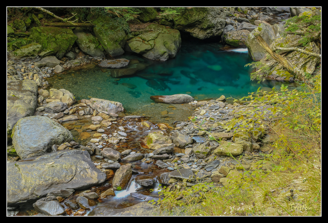 JH1A0786.jpg - 20151205 合歡溪步道、108K楓之谷