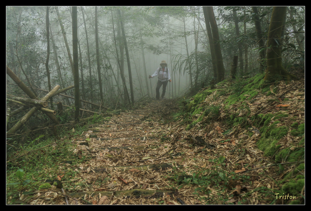 IMG_8435.jpg - 20151012 水社寮,四天王山