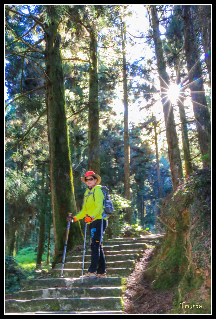 IMG_9195.jpg - 20151130 小笠原山、對高岳