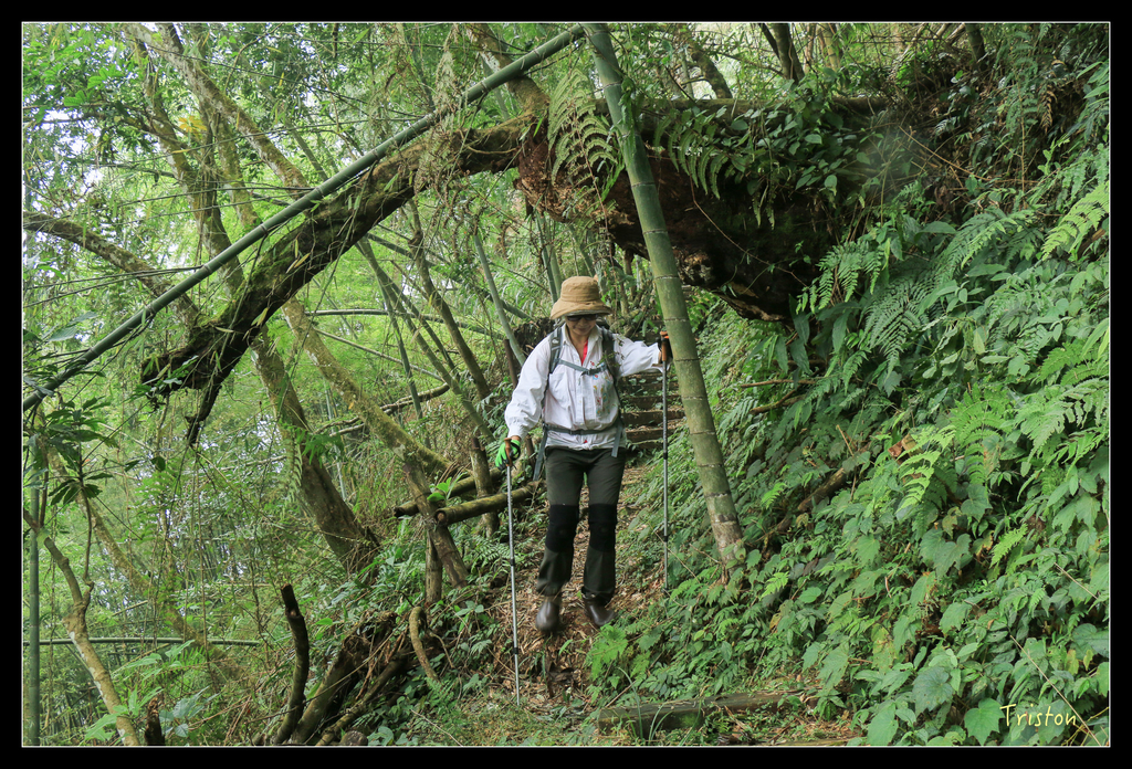 IMG_8464.jpg - 20151012 水社寮,四天王山