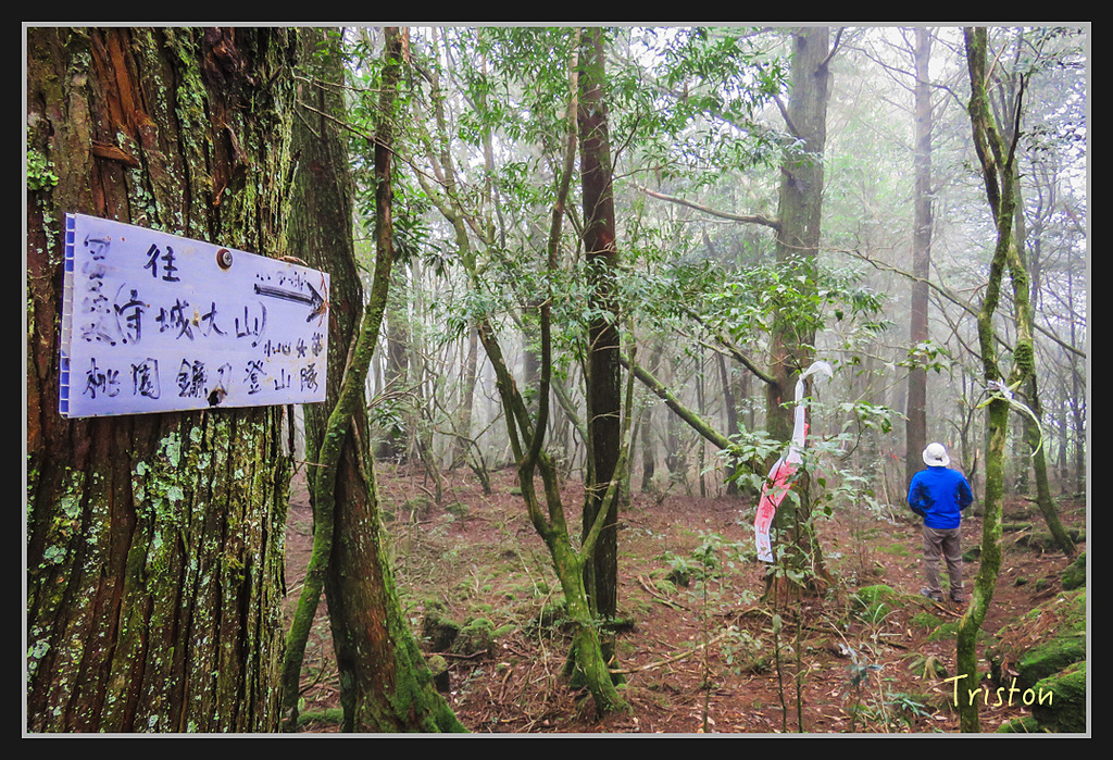 IMG_1403.jpg - 20170318 守關山、守城大山