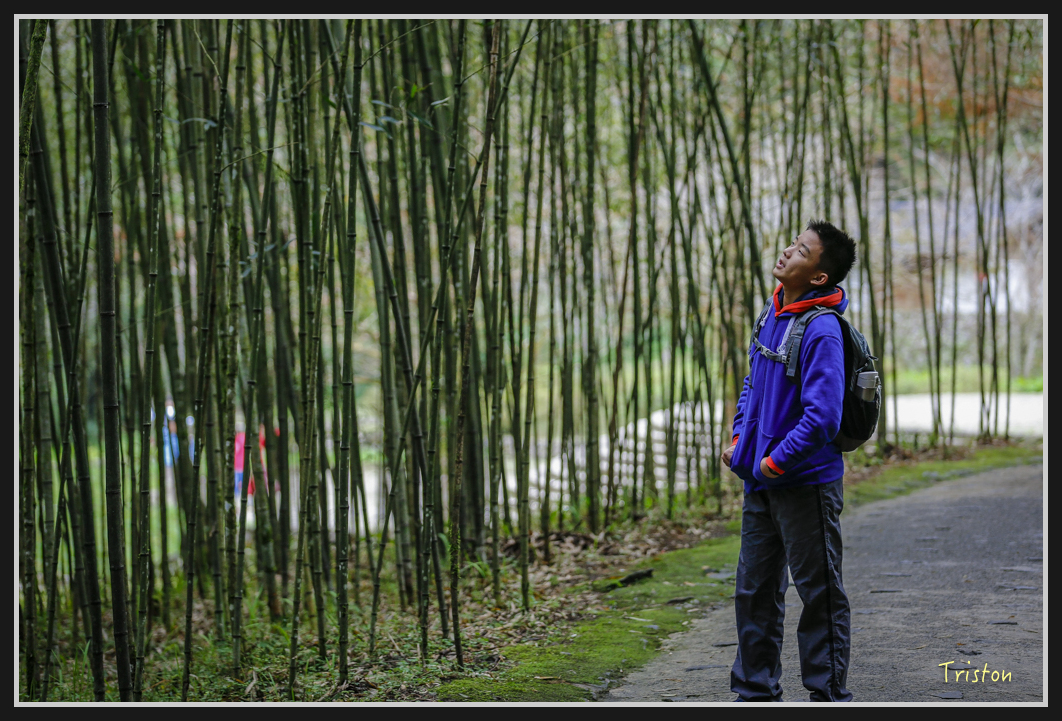 00180.jpg - 20161231 明池 神木園