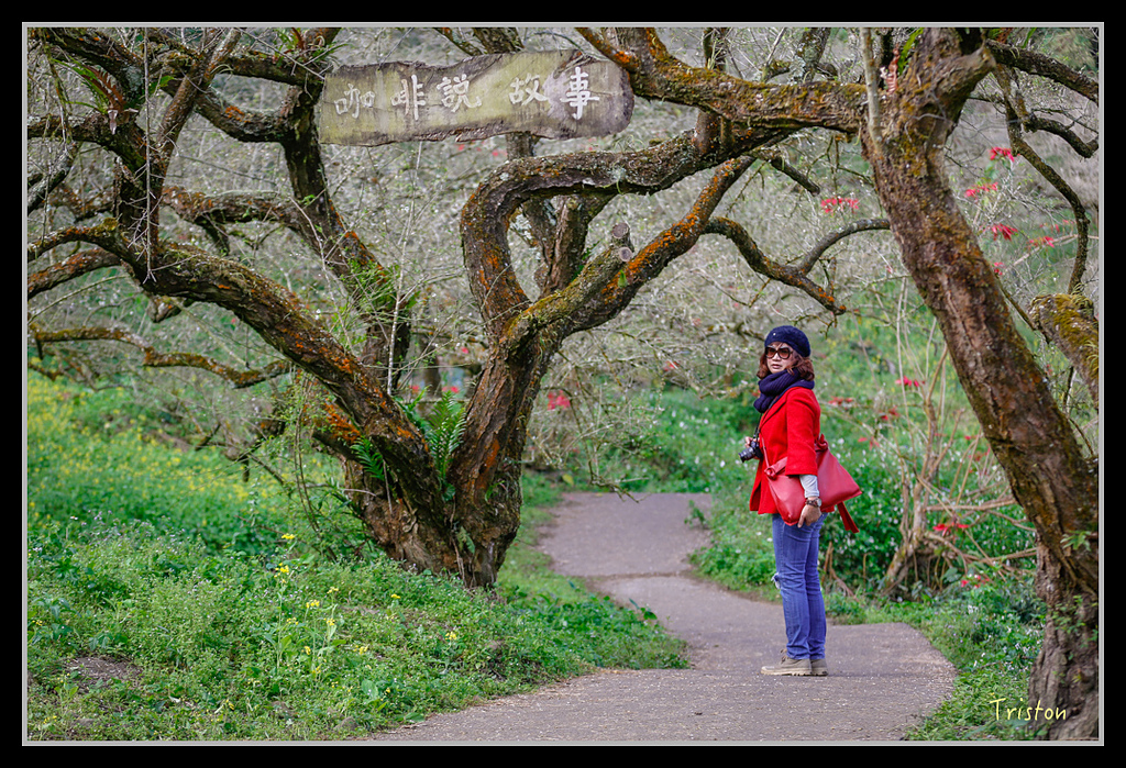 _H1A1482.jpg - 20170117 烏松崙、竹青庭