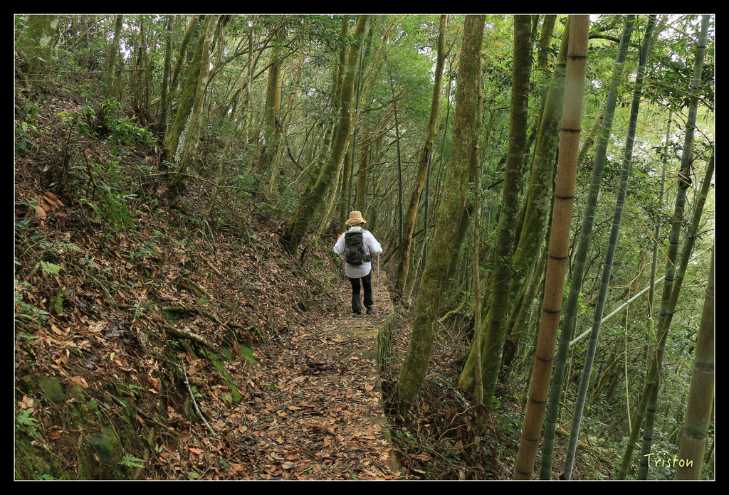 IMG_8461.jpg - 20151012 水社寮,四天王山