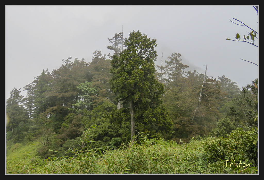 IMG_1408.jpg - 20170318 守關山、守城大山