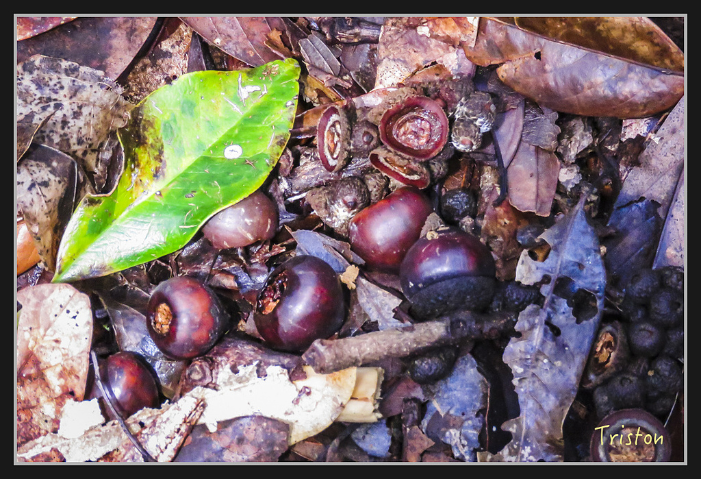 IMG_1381.jpg - 20170318 守關山、守城大山