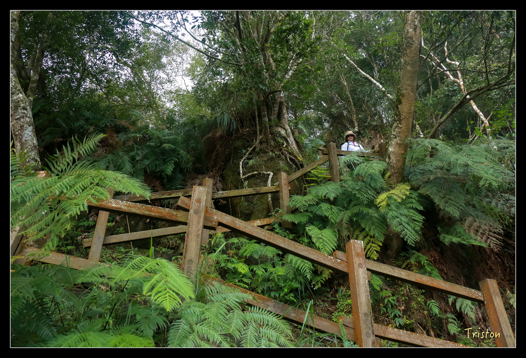 IMG_8484.jpg - 20151012 水社寮,四天王山