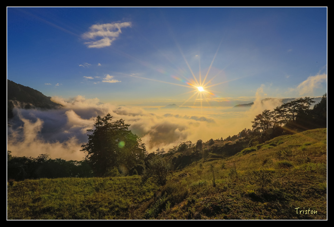 JH1A0889.jpg - 20151205 合歡溪步道、108K楓之谷