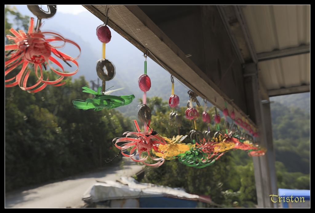 jh1a0011_15145506234_o.jpg - 20141111 屏東霧台 神山 一日來往輕旅行