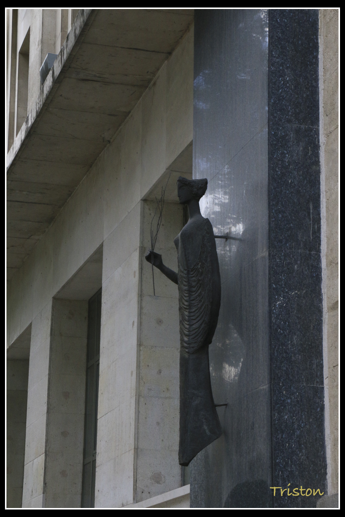 IMG_5014.jpg - 20140628