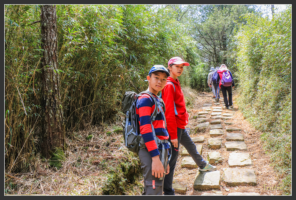 IMG_6109.jpg - 20160402 鹿林麟趾東埔山